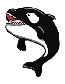 Orca_ Vector_ Art_ Illustration