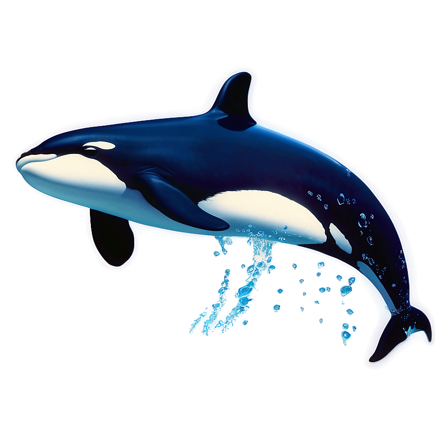 Orca Whale Underwater Scene Png Nix57