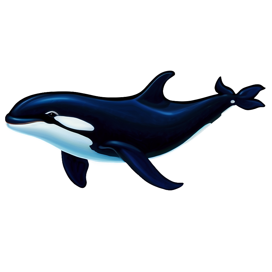 Orca With Calf Png Vqj