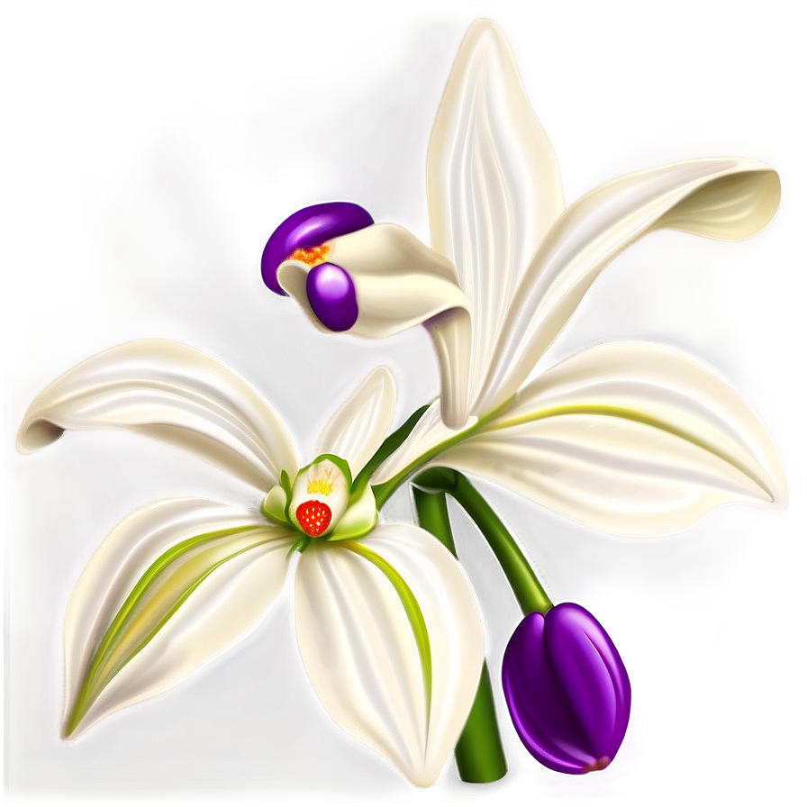 Orchid Art Png Ivj