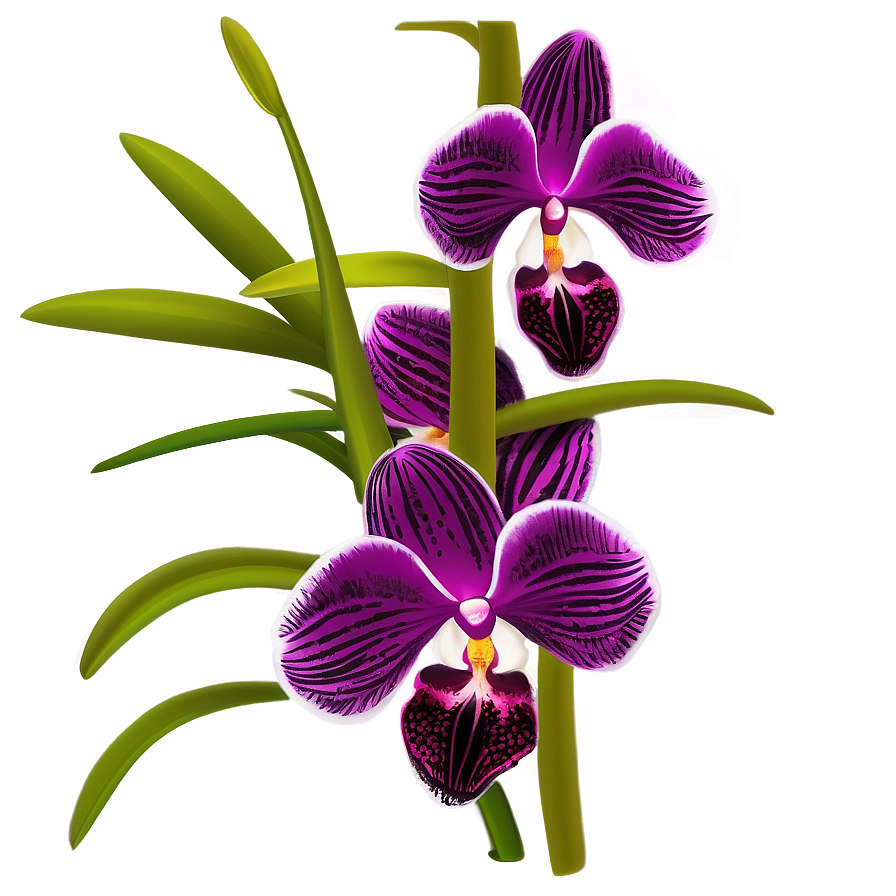 Orchid Bouquet Png Mch