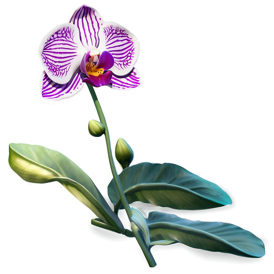 Orchid Emblem Png Afq64