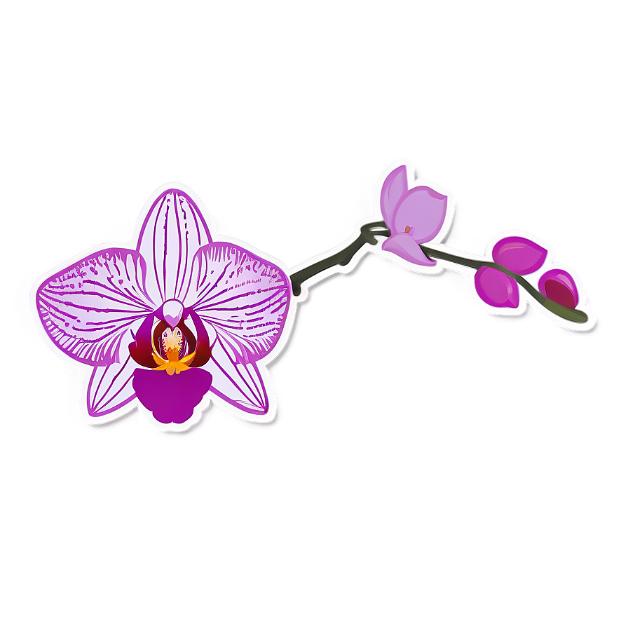 Orchid Sticker Image Png 06272024