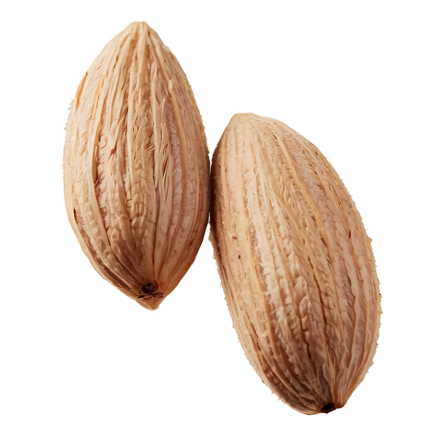 Organic Almond Png Xkc89