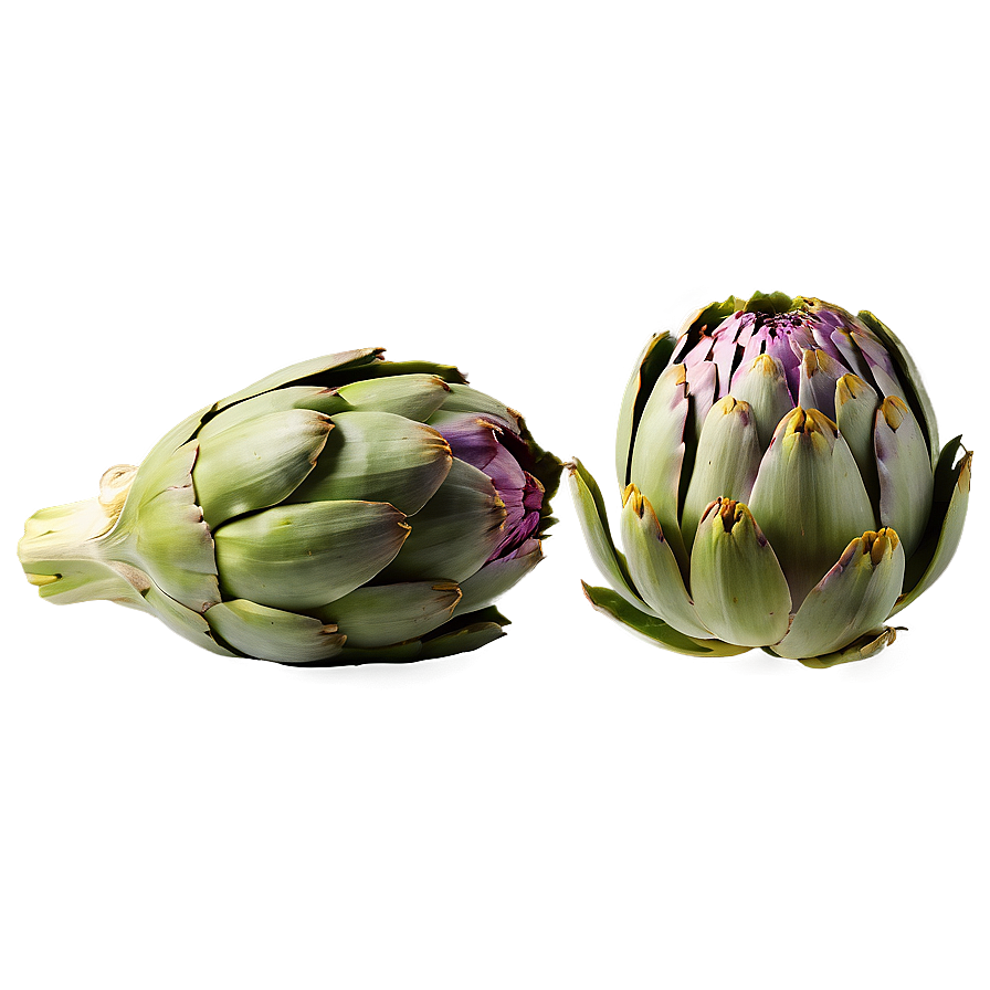 Organic Artichoke Png Urp70