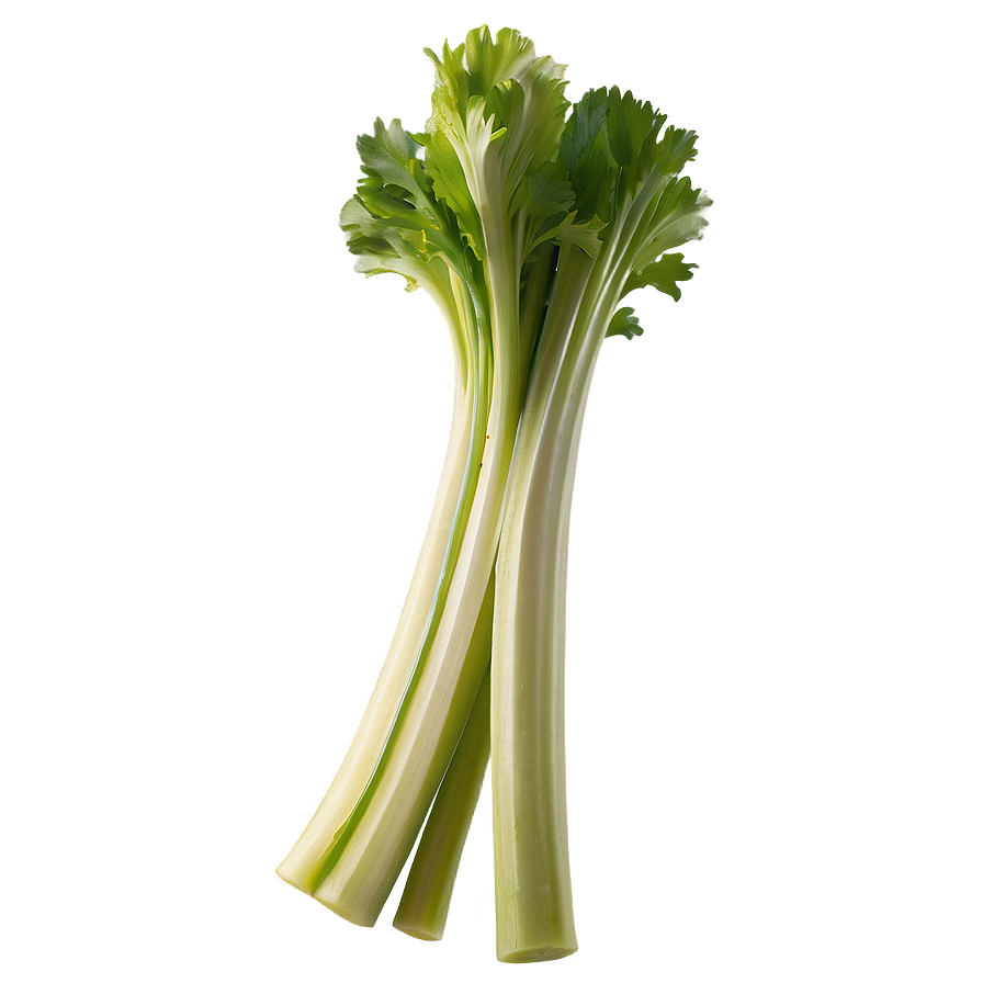 Organic Celery Stick Png 78