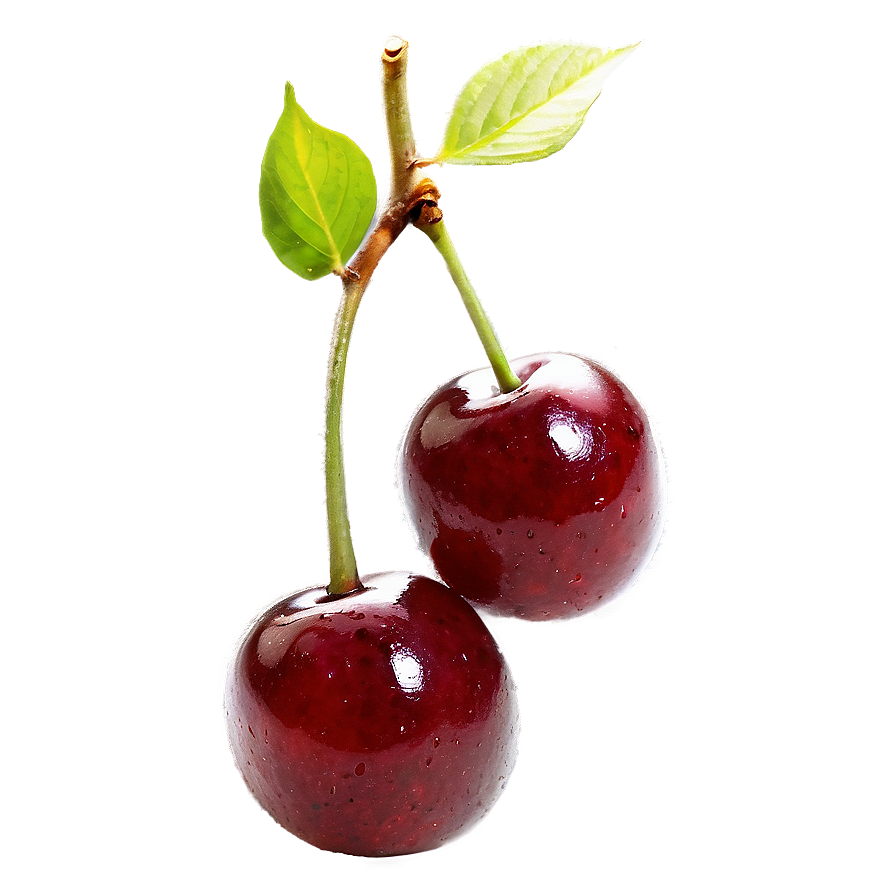 Organic Cherries Png 06212024