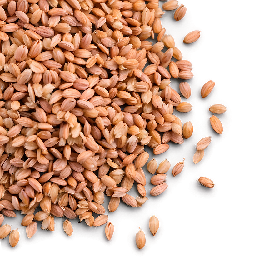 Organic Einkorn Wheat Berries Png 06252024