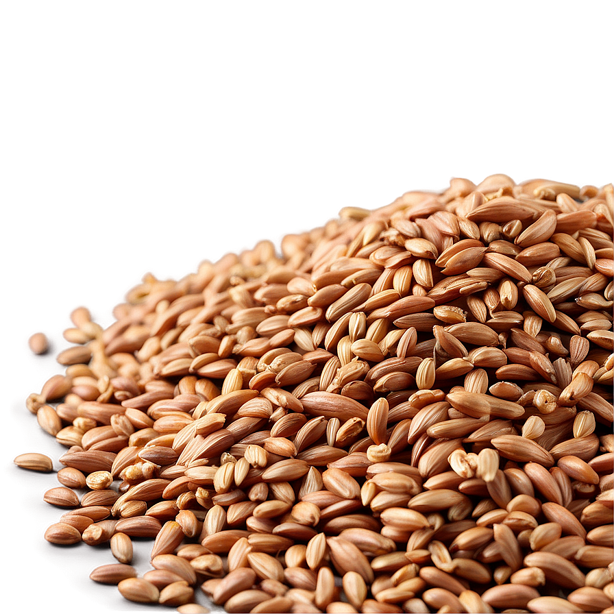 Organic Einkorn Wheat Berries Png Bmm