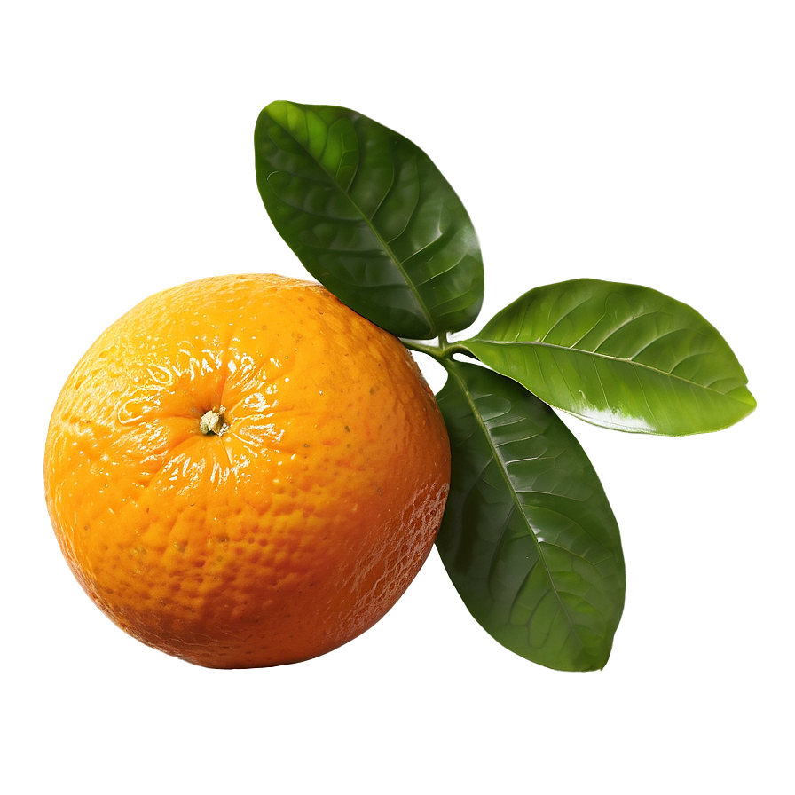 Organic Fresh Orange Png Hen