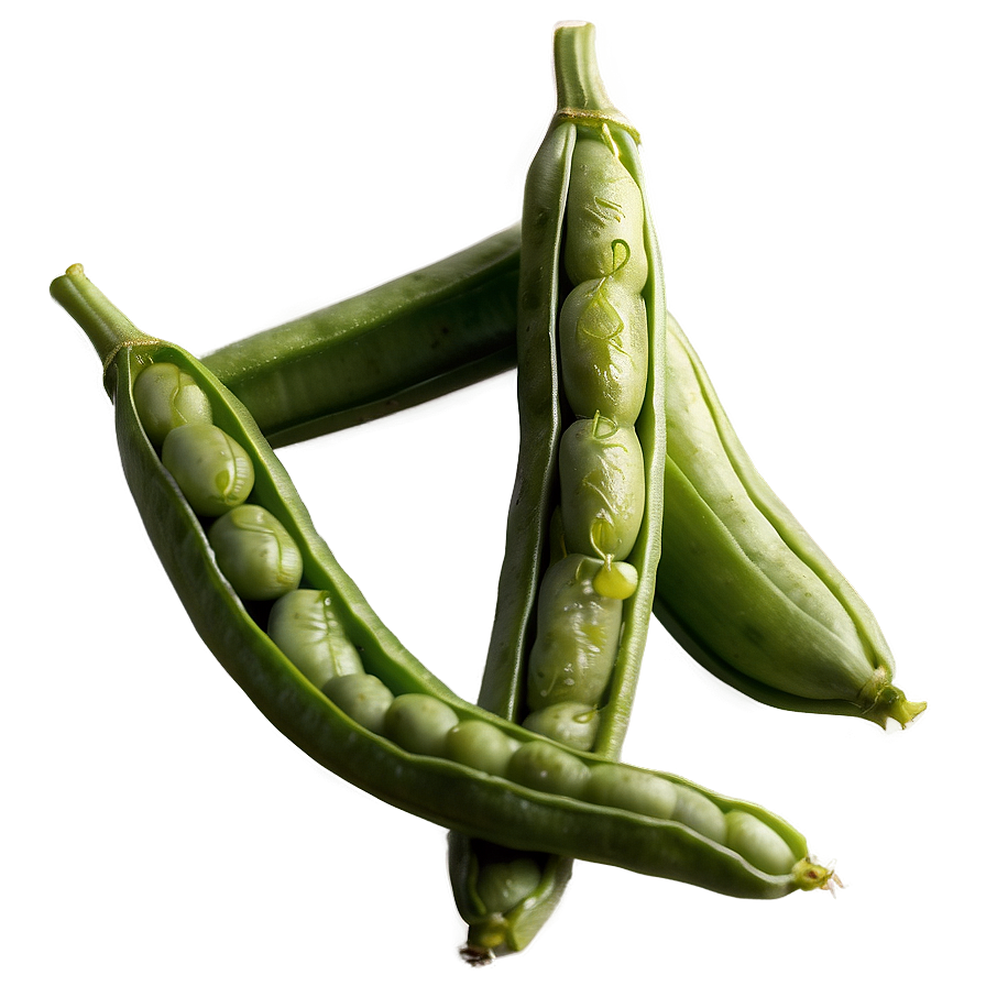 Organic Green Beans Png 31