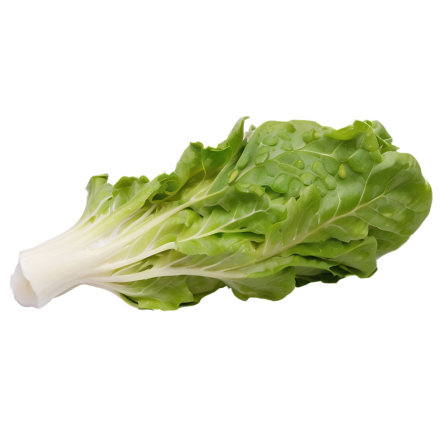 Organic Green Lettuce Png Byw