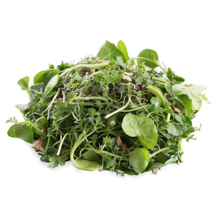 Organic Greens Mix Png 06252024