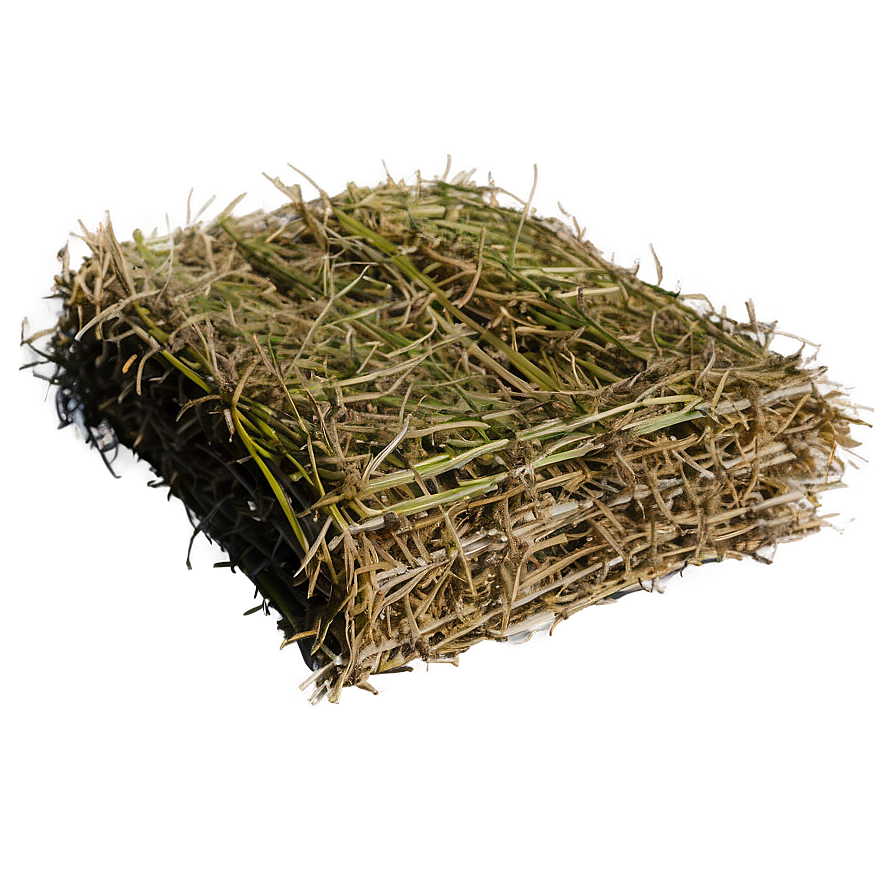 Organic Hay Bed Png Nru68