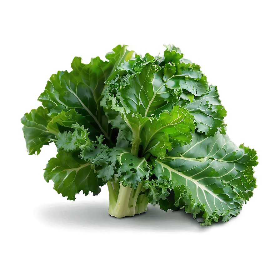 Organic Kale Leaves Bundle Png Ban