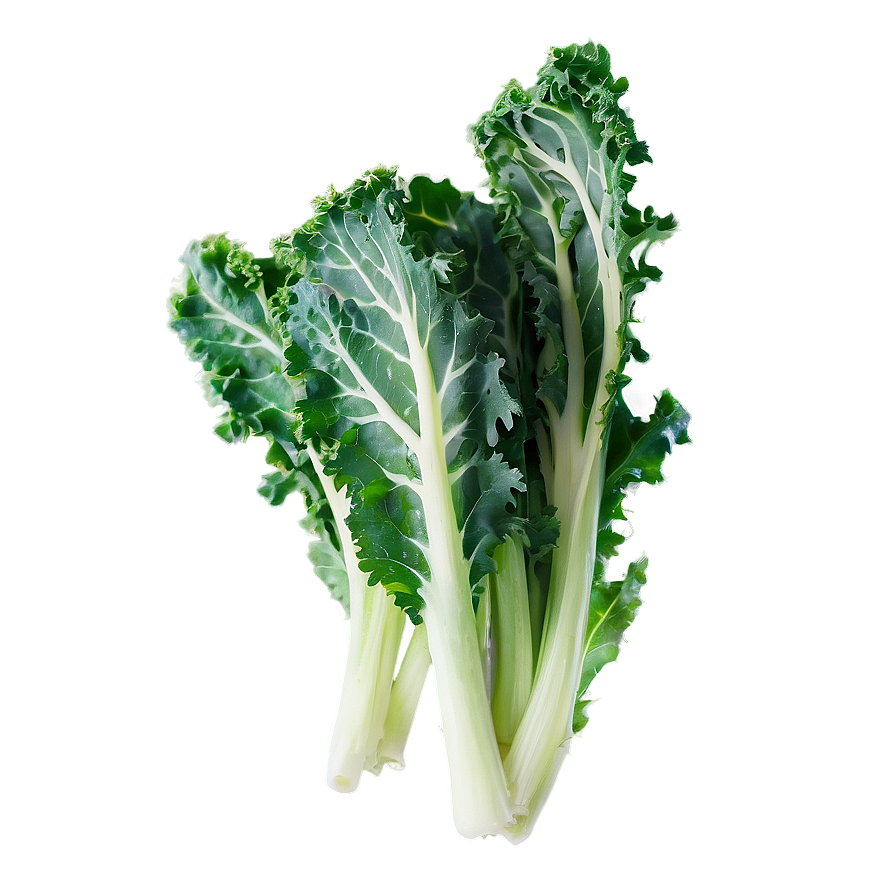 Organic Kale Leaves Bundle Png Eai17