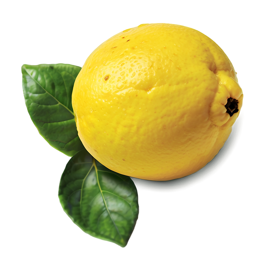 Organic Lemon Png 58