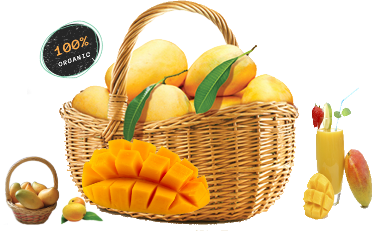 Organic Mango Basket Presentation