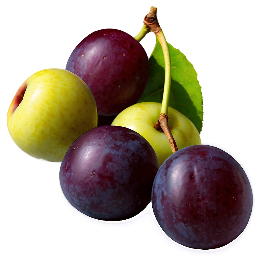 Organic Plum Picture Png 55