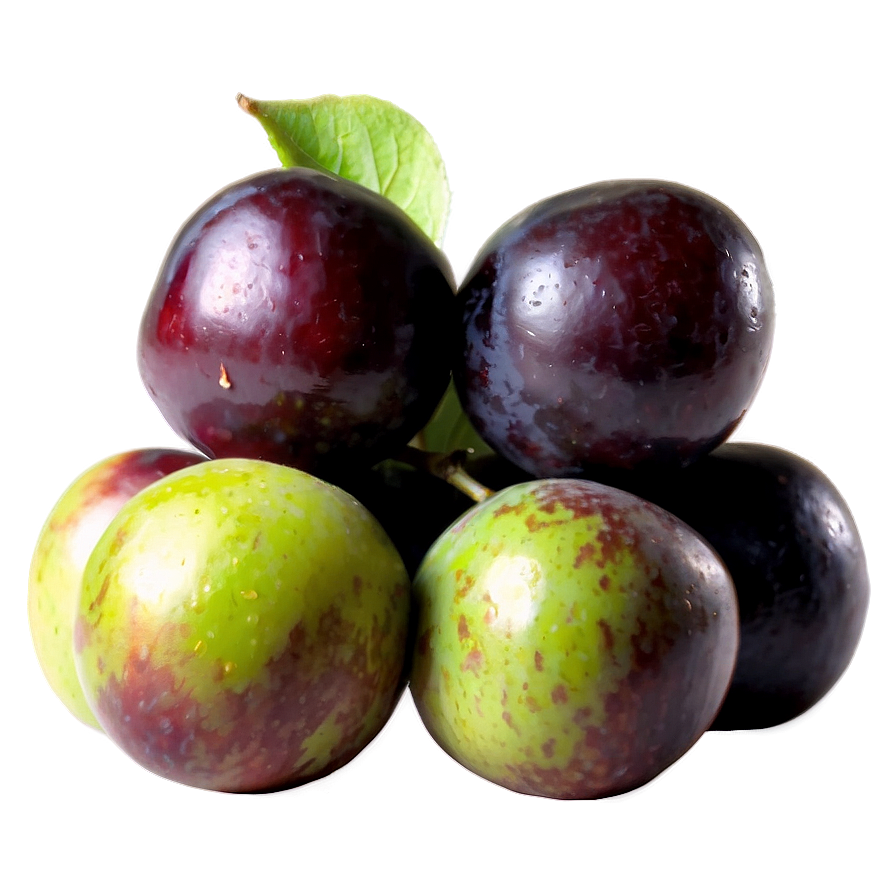 Organic Plum Picture Png 73