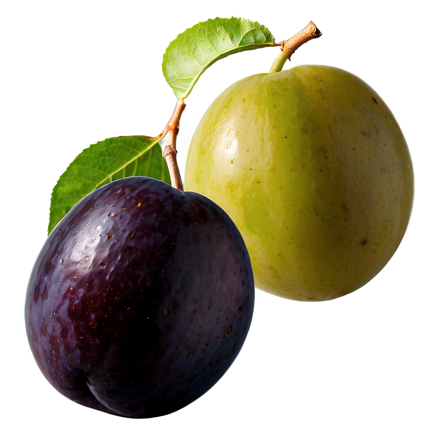 Organic Plum Picture Png Hoa11