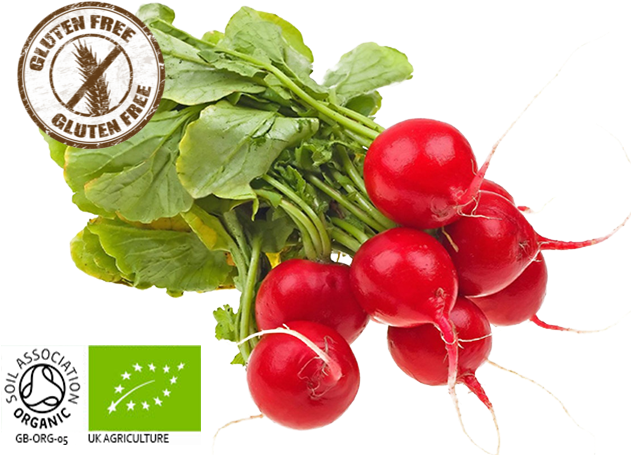 Organic Red Radishes Gluten Free