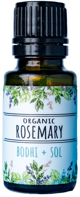 Organic Rosemary Essential Oil Bottle