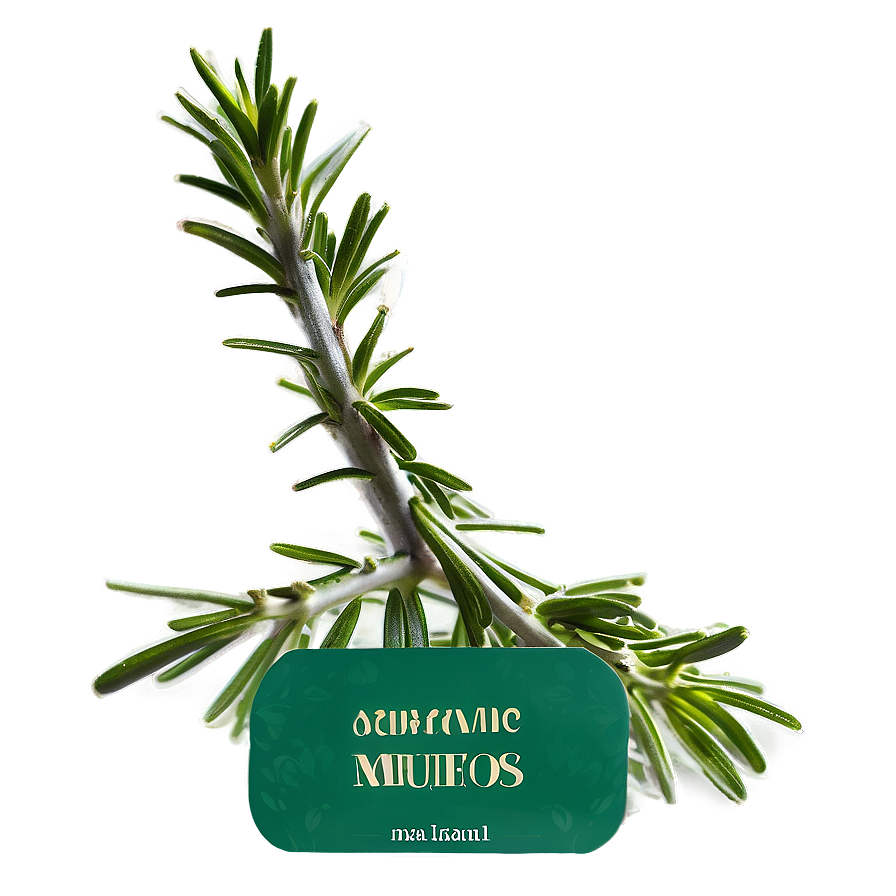 Organic Rosemary Png 90