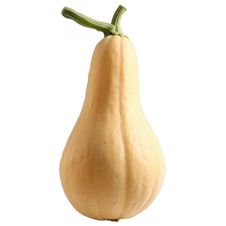 Organic Squash Png 06122024