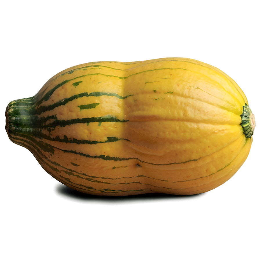 Organic Squash Png Plx66