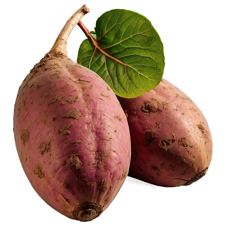 Organic Sweet Potato Png 99