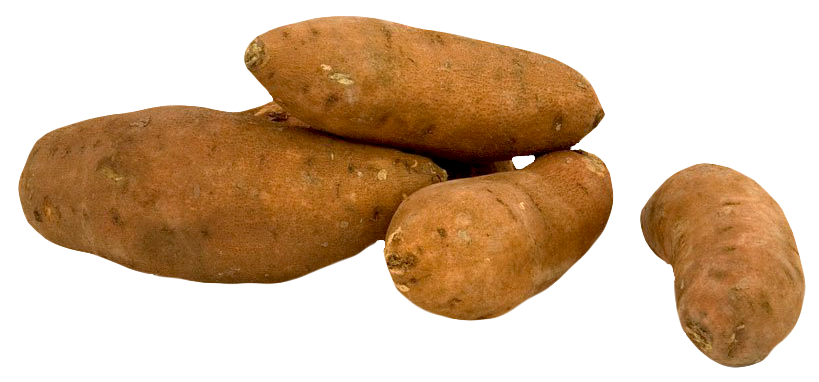 Organic Sweet Potatoes