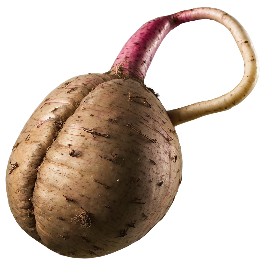 Organic Tuber Png 79