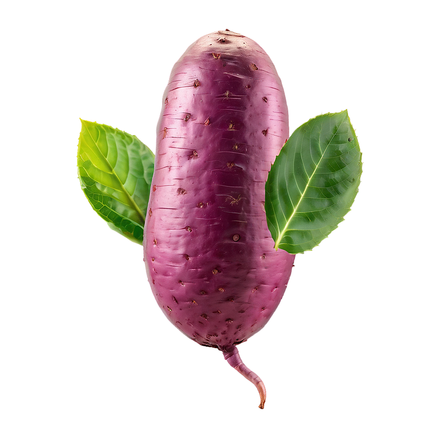 Organic Tuber Png Msi