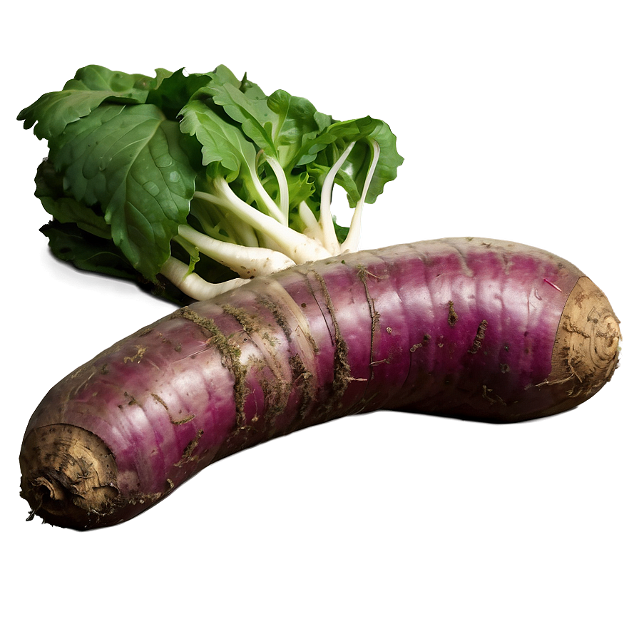 Organic Tuber Png Vat7