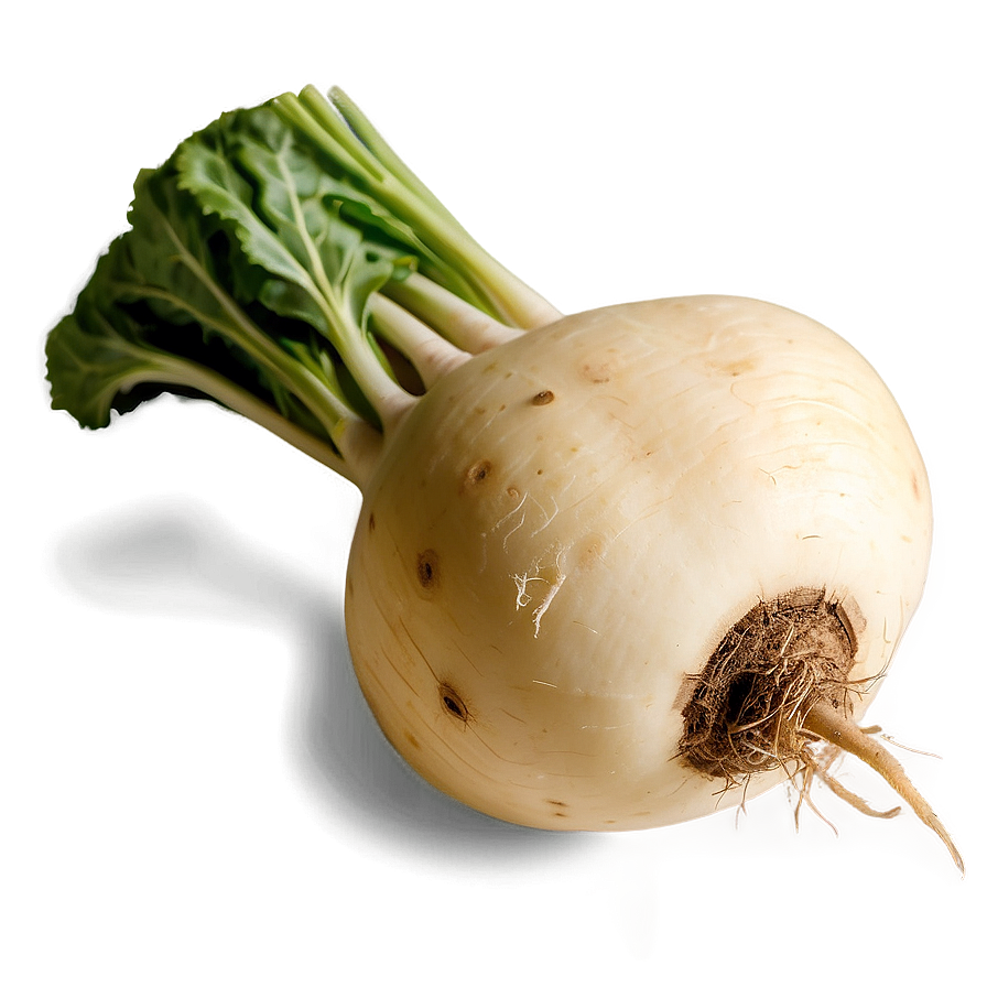 Organic Turnip Png 4