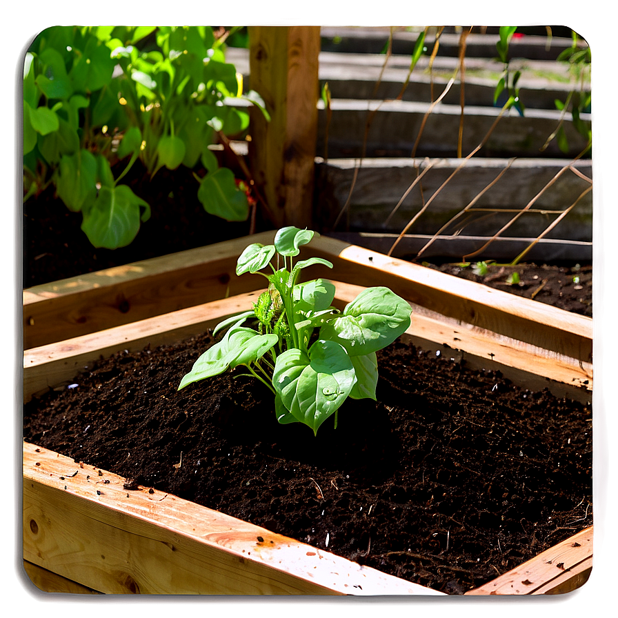 Organic Vegetable Garden Mulch Png Qng77