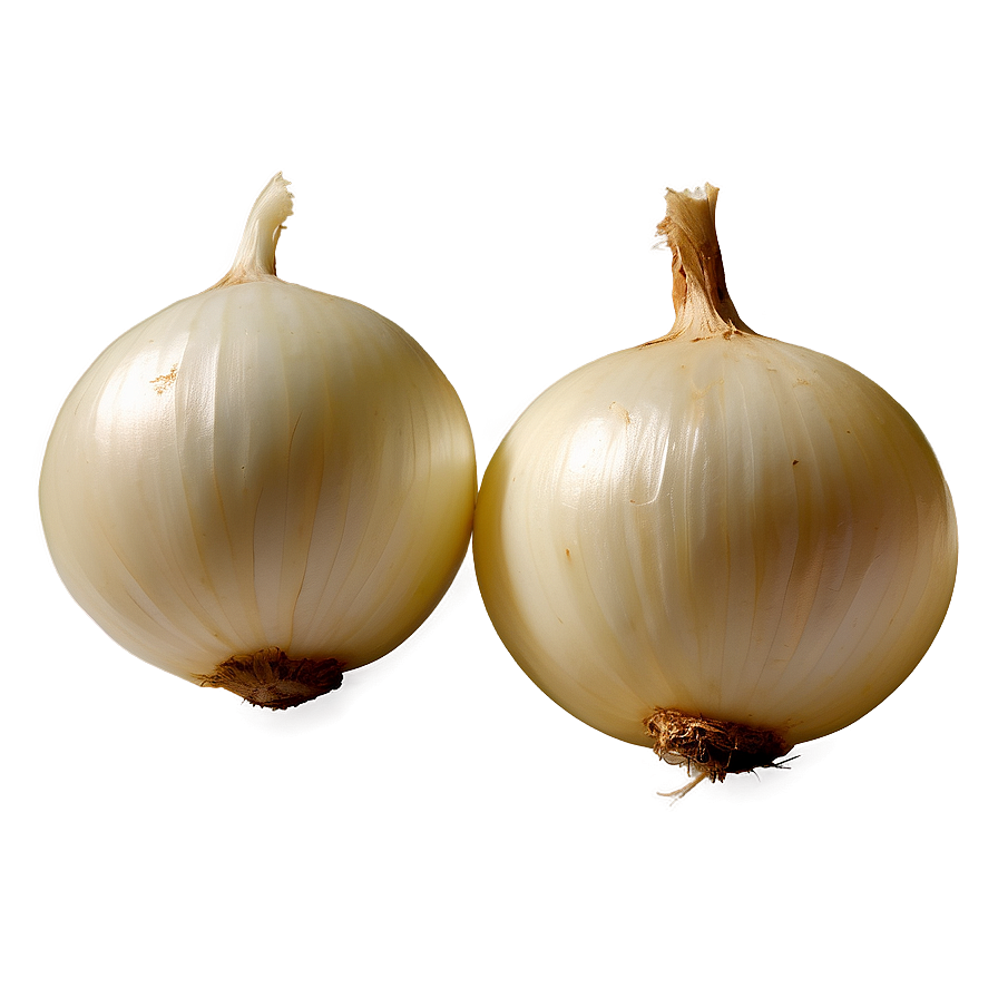 Organic White Onion Png 90