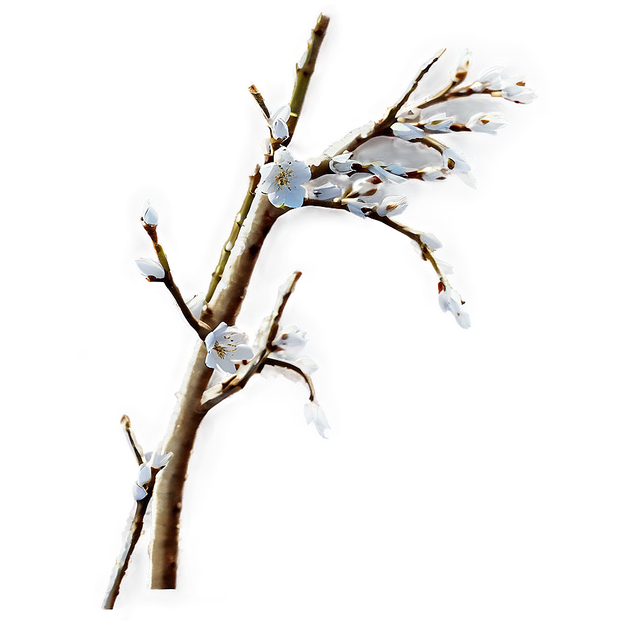 Ornamental Twig Png 06132024