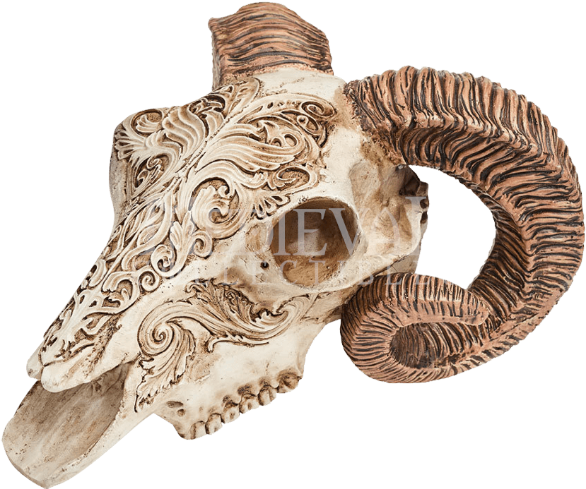 Ornate Ram Skull Sculpture.png