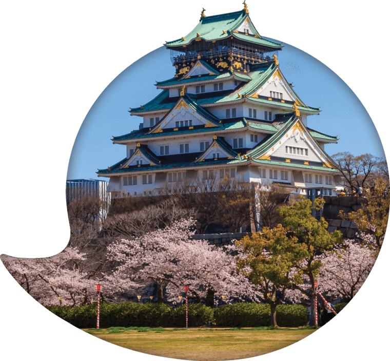 Osaka Castle Cherry Blossoms