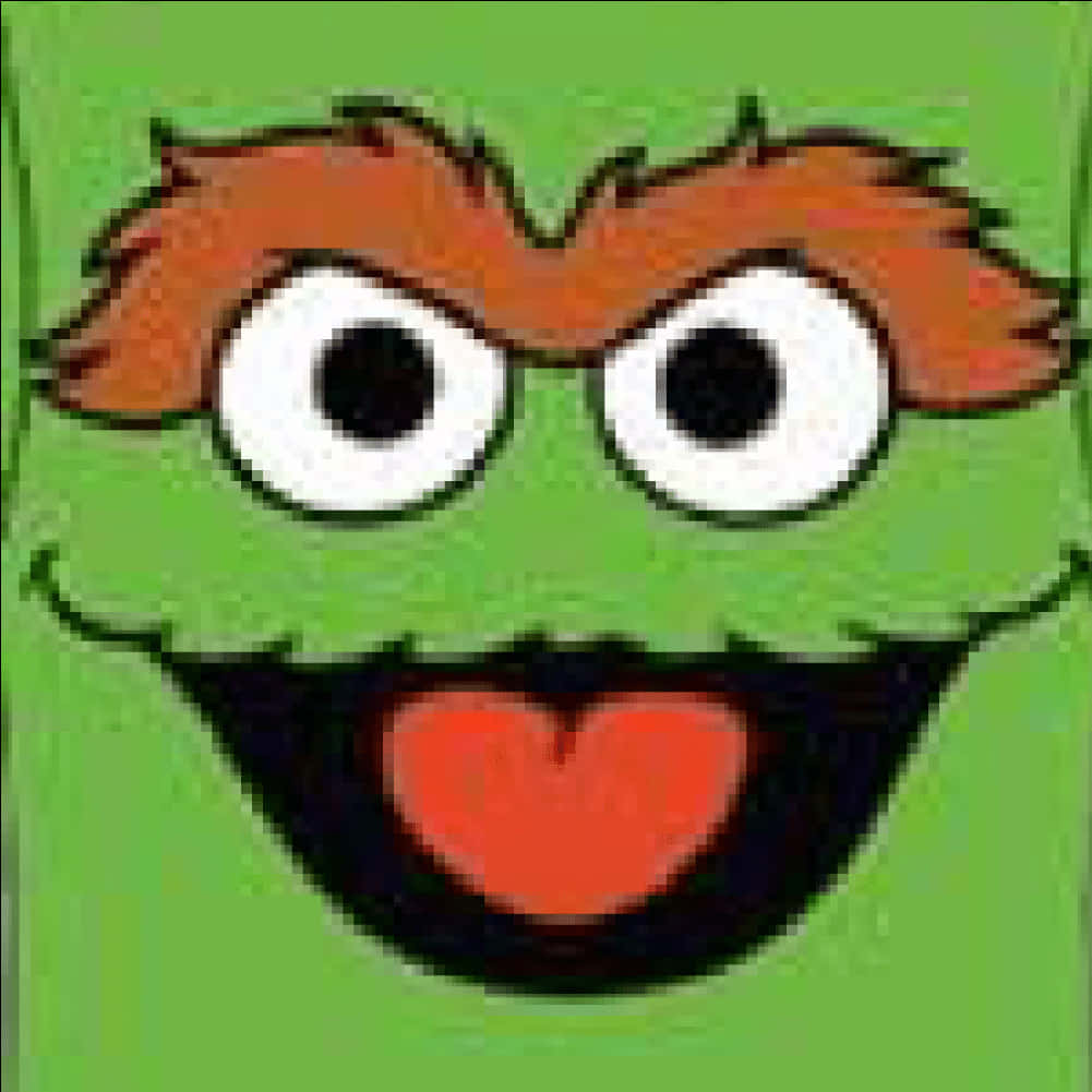 Oscarthe Grouch Close Up