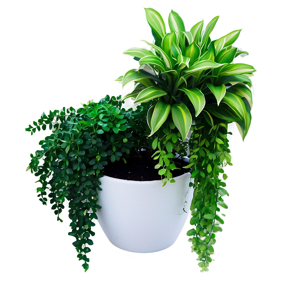 Outdoor Hanging Plant Png 05252024