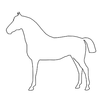 Outlineof Standing Horse