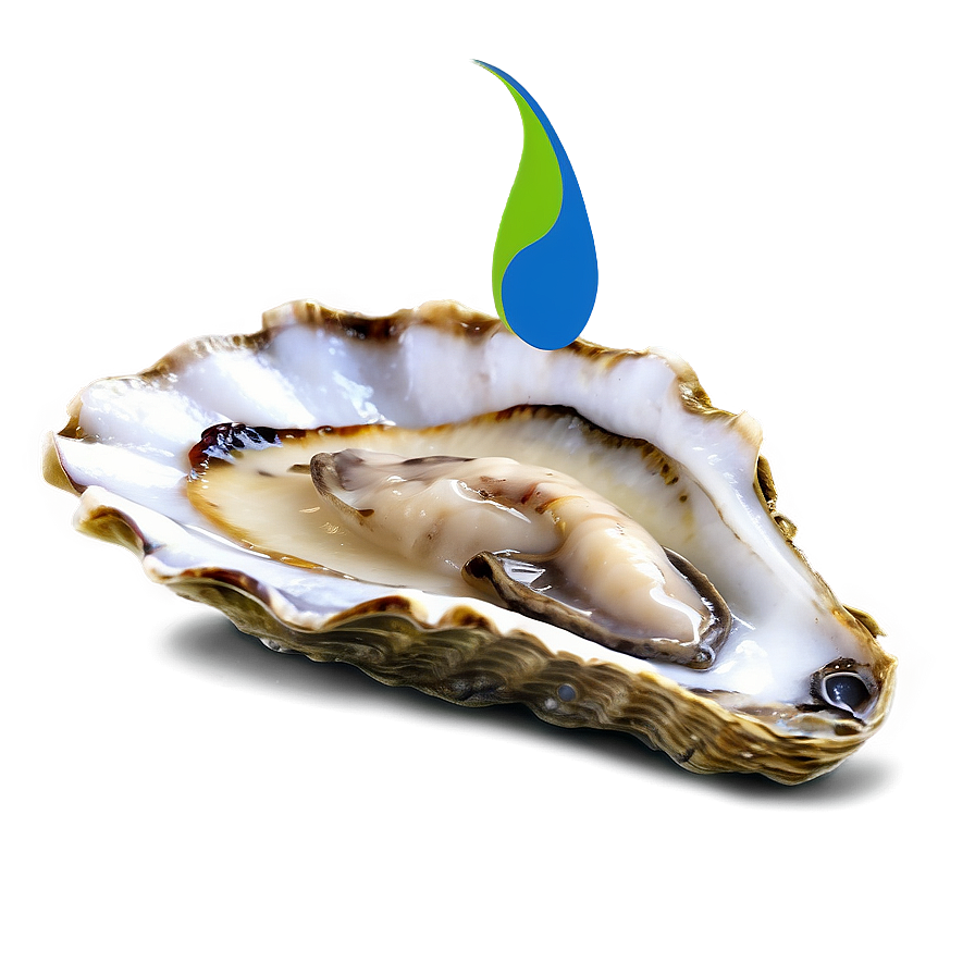 Oyster Appetizer Png 06122024