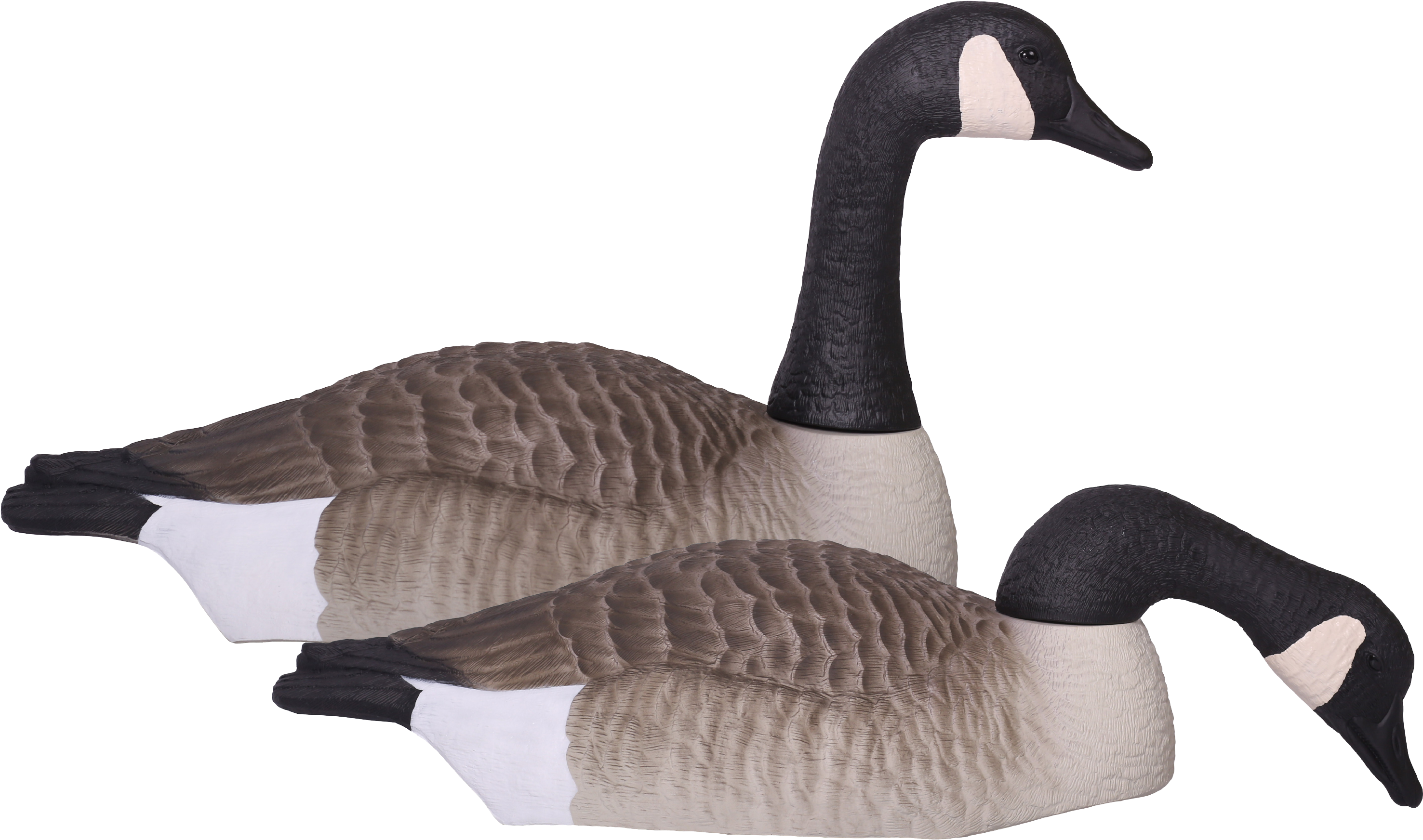 Pairof Canada Geese Decoys