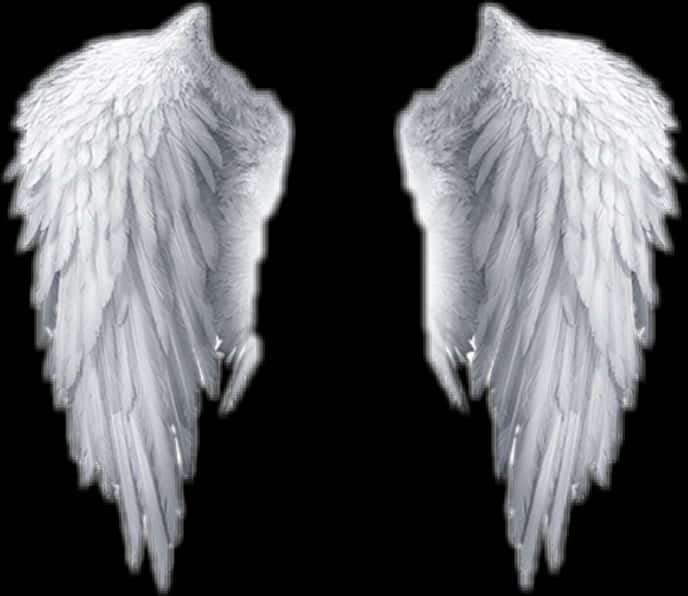 Pairof White Angel Wings