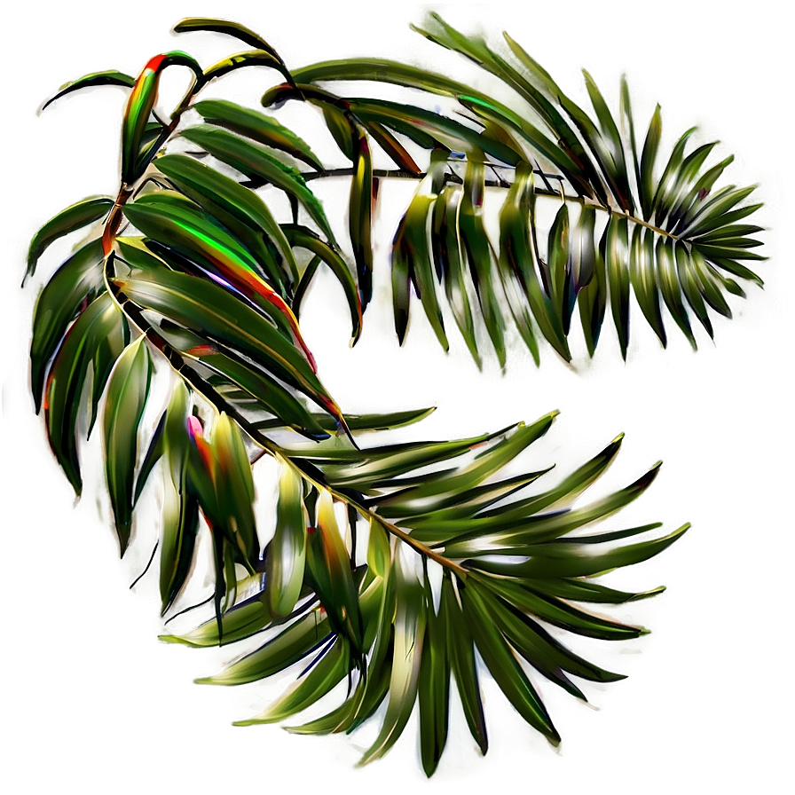 Palm Leaves Decoration Png 05252024