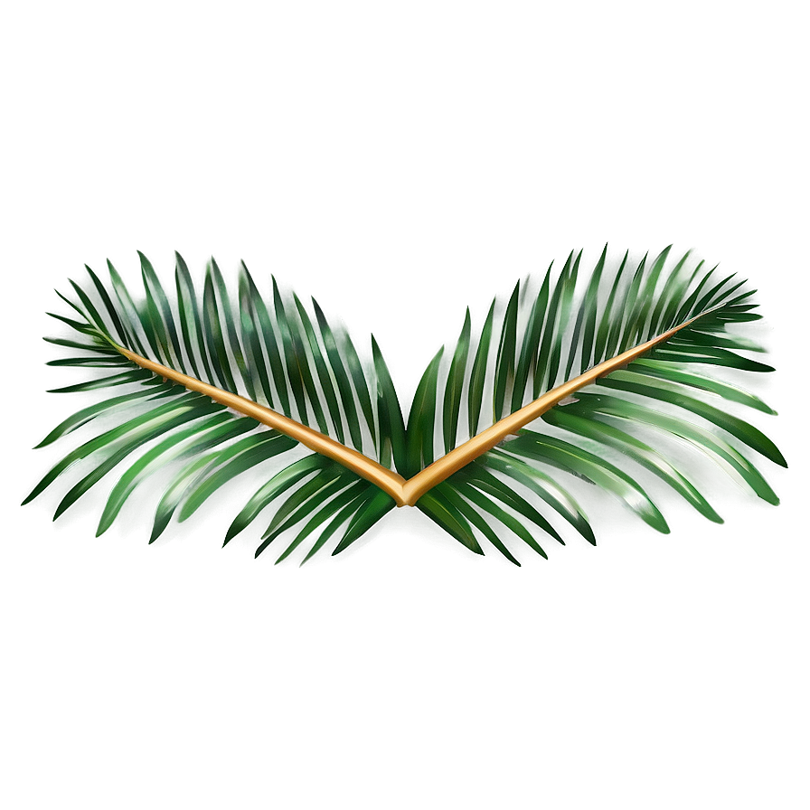 Palm Leaves Decoration Png Gdx