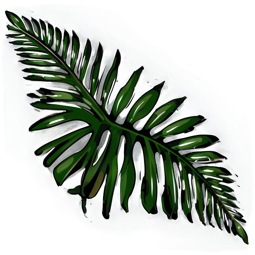 Palm Leaves Illustration Png Hqk